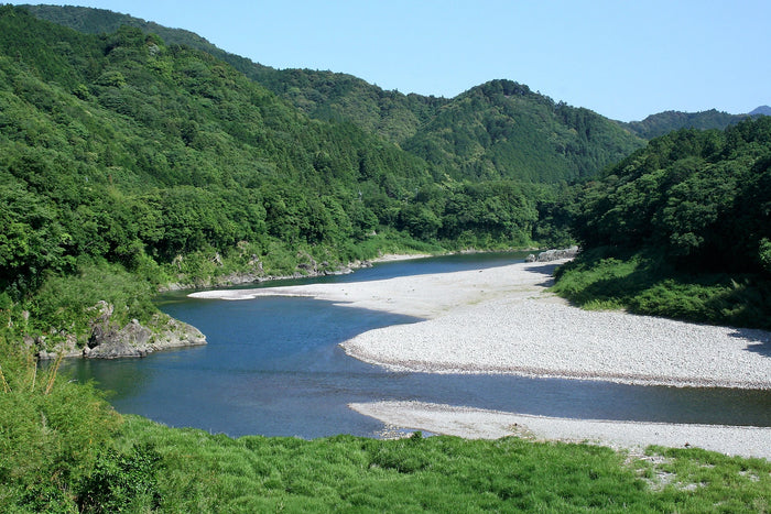 綺麗な宮川　夏　観光　自然